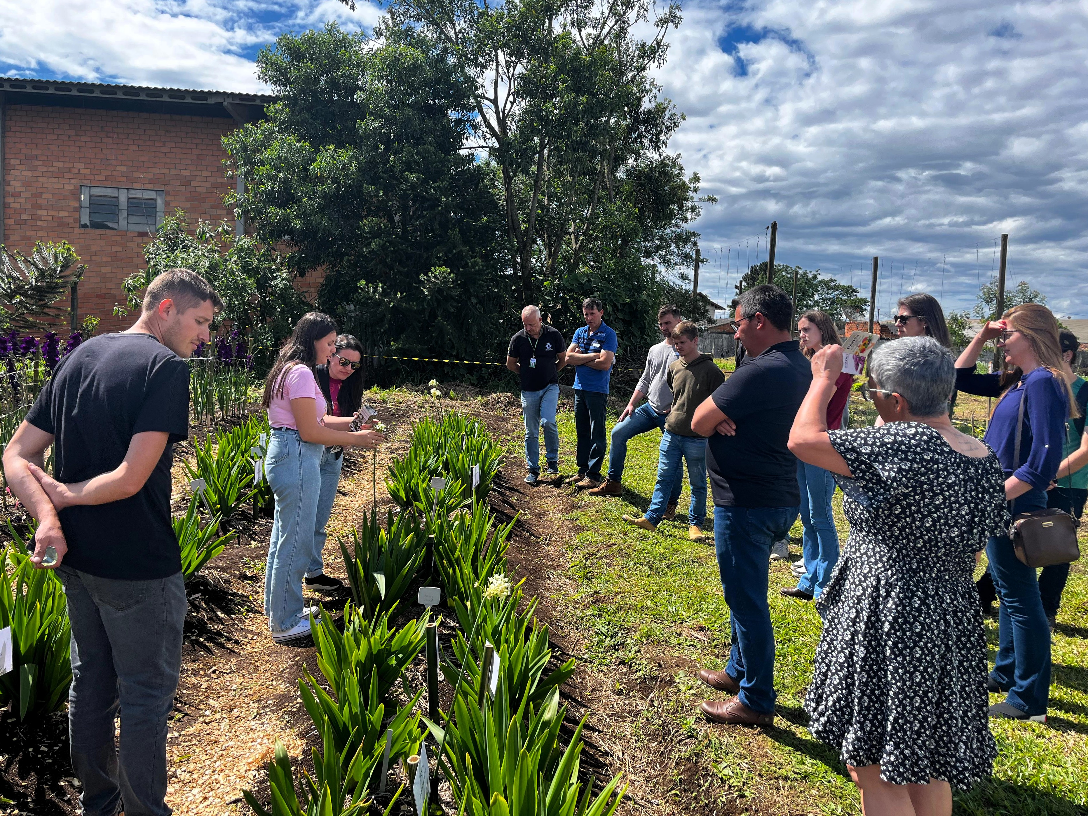 Experimento de campo