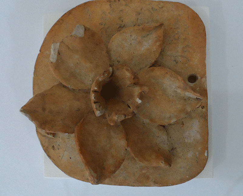 Registro sobre Franklin Cascaes